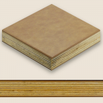 Pinchot Series - Bronco