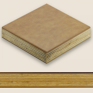 Pinchot Series - Bronco