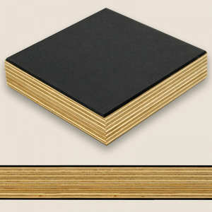 Pinchot Series - Midnight